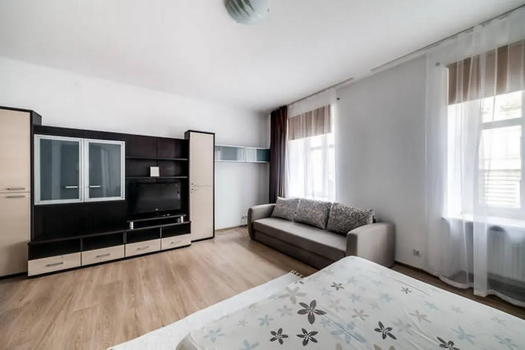 Apartment In The Centre Of Lviv